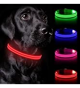 Nepfaivy Light Up Dog Collar - Dog Collar Lights for The Dark Night, Adjustable Flashing Dog Coll...