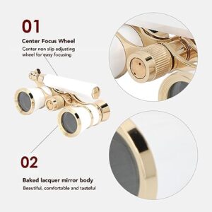 3X25 Lightweight Compact Foldable Theater Glasses