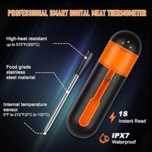 Barbecue Thermometer