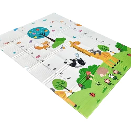 Nursery & Playroom