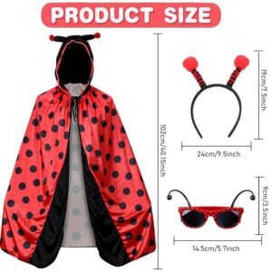 Lady Bug Costume