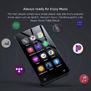 MP3 MP4 Player with Spotify