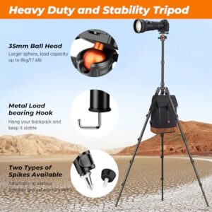 Travel Tripod Portable Compact Tripods