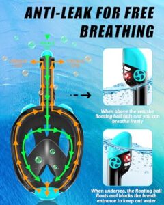 Snorkeling Mask & Swim Fins
