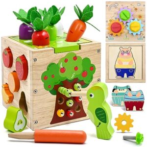 5 in 1 Toddler Learning Toys - Shape Sorter