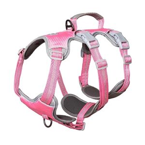 Anti-Pull Dog Harness with Handle