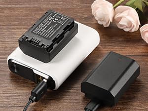 FZ100 Battery