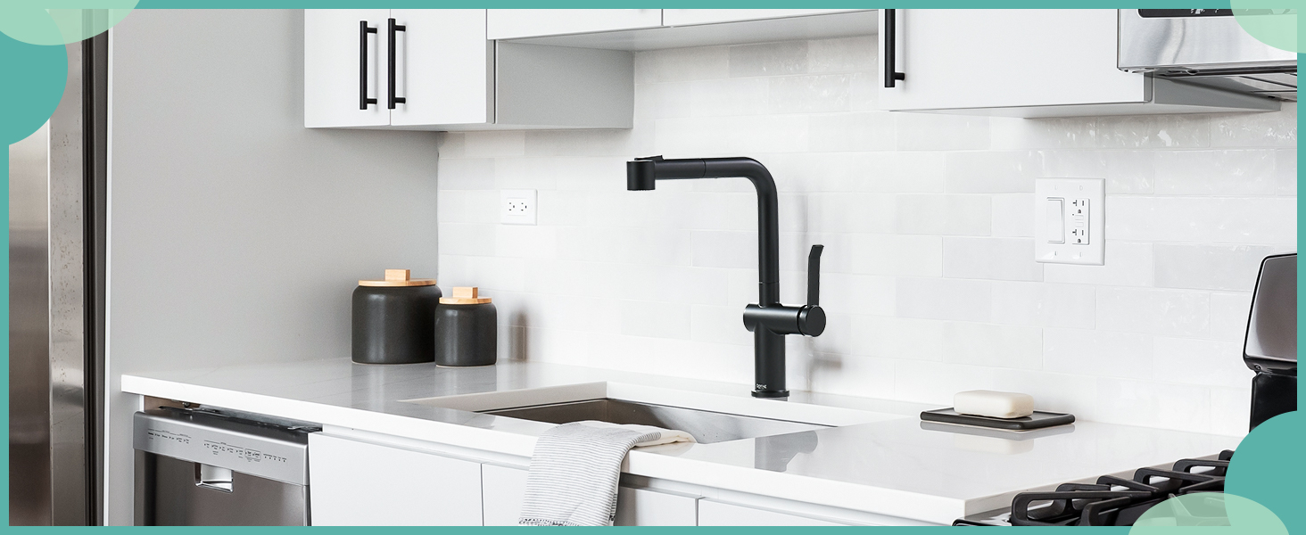 Matt Black Kitchen Taps with Pull Out Spray