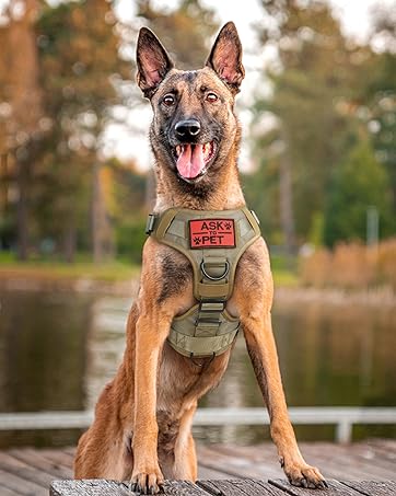 rabbitgoo Tactical Dog Training Leads for Medium Large Dogs, Bungee Lead Rope with 2 Padded Anti ...