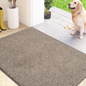 Machine Washable Entrance Rug