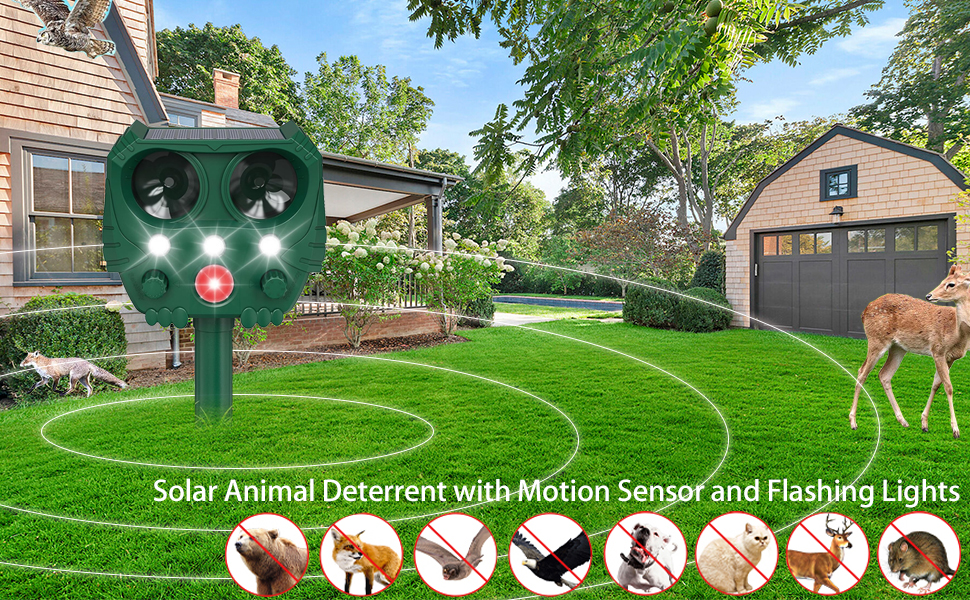 Joomouney Cat Repellent Garden