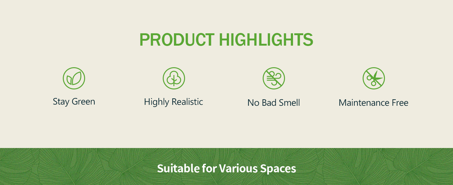 PRODUCT HIGHLIGHTS