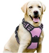DOG HAENESS