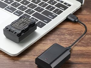 FZ100 Battery