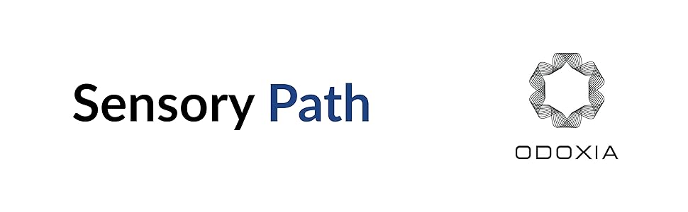Sensory Path Decals for Floor & Wall | Educational and Interactive Stickers | Sensory Walk Decals