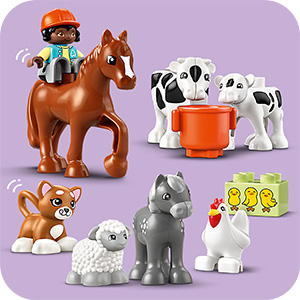 10416_DUPLO