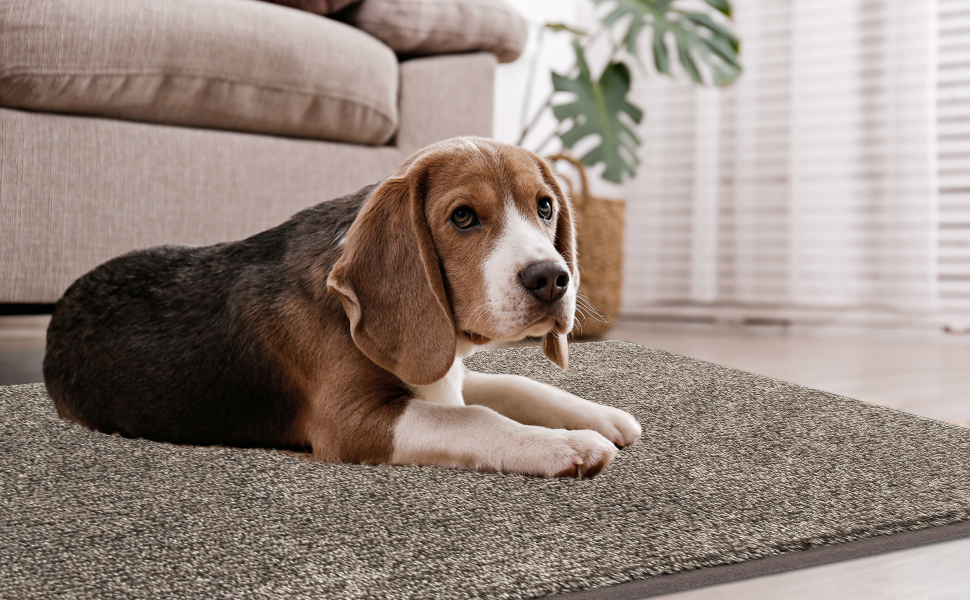 FCSDETAIL Dirt Trapper Indoor Door Mat