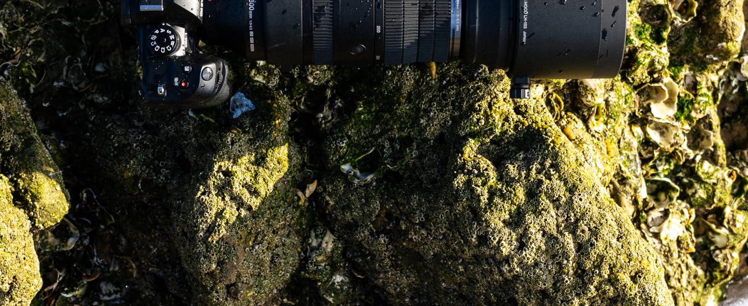 OM SYSTEM 150-600mm