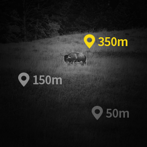 night vision