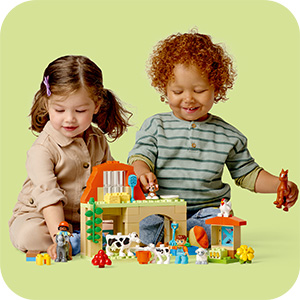 10416_DUPLO