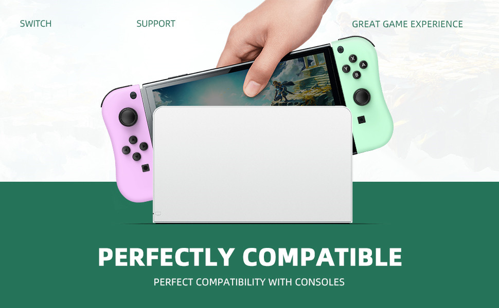 joycon