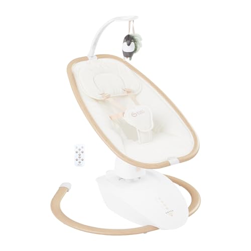Remote Control Multi-Motion Swing Chair