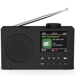 DAB Plus Digital Radio