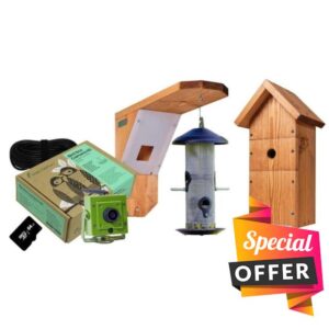 Green Feathers Bird Box and Bird Feeder Garden Wifi Camera Ki