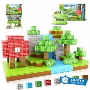 Magnetic Blocks-Build Mine Magnet World Set