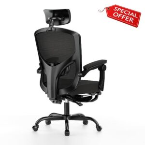aspaluro Ergonomic Office Chair with Footrest