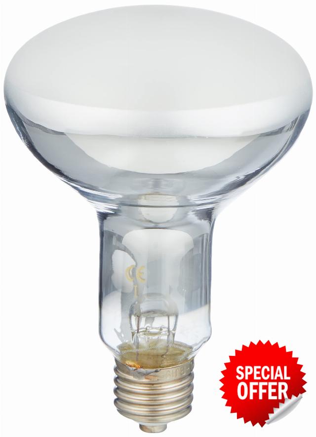 Trixie ProSun Mixed D3 Self Ballasted UV B Lamp