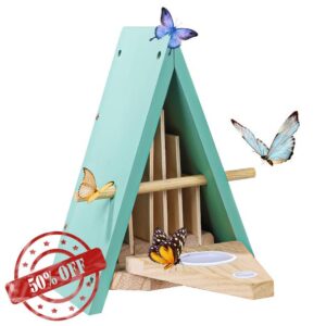 Butterfly House and Feeder