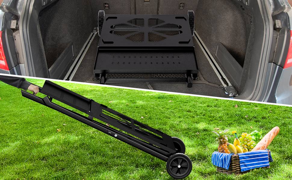 Ninja Woodfire grill stand