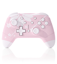 switch controller