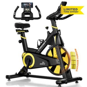 Labgrey Exercise Bike Magnetic Resistance Indoor Cycling Bike Stationary Cycle Bike with Heart Rate Sensor & Comfortable Seat Cushion