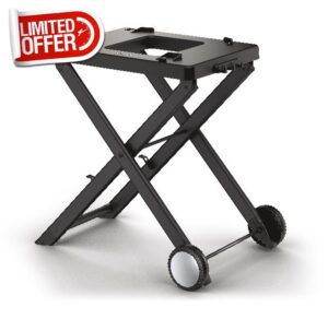 Ninja Woodfire Folding Grill Stand