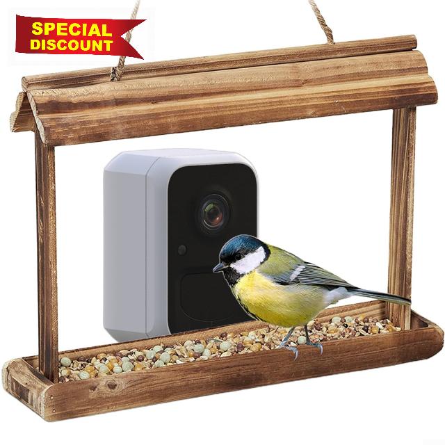 CARMOTTER Smart Bird Feeder Camera