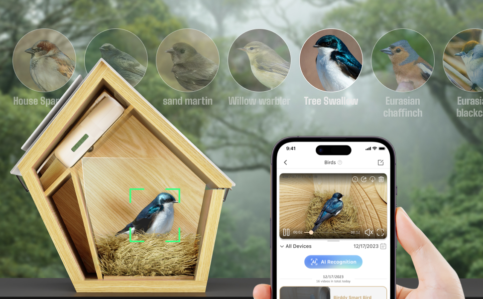 Time-lapse nesting