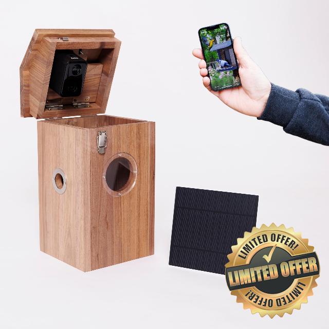 Solar Powered Wireless Bird Box Camera and Bird House with AI Bird Recognition camera (Walnut Wood)