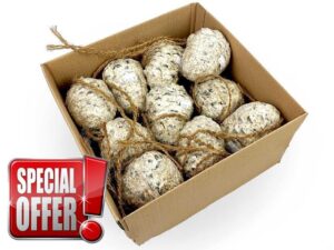 Box of 10 Chubby Mealworms Suet & Seed Pine Cones