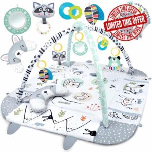 RLS 4-in-1 Multifunctional Baby Play mat Activity Gym Super Soft and Comfortable Babys and Infants