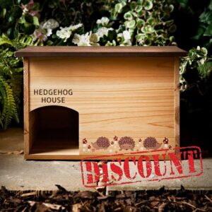 Funky Craft Hedgehog Hut - Create a Cozy Haven for Wildlife in Your Garde