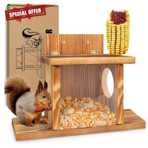 Squirrel Feeder