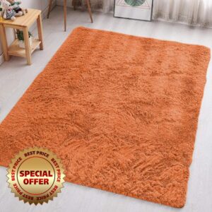 Aspire Homeware Rugs Living Room - Rust Area Rugs 160x230cm for Bedroom Anti Slip - Modern Super Soft Thick Pile Fluffy Shaggy Rug Non Shedding