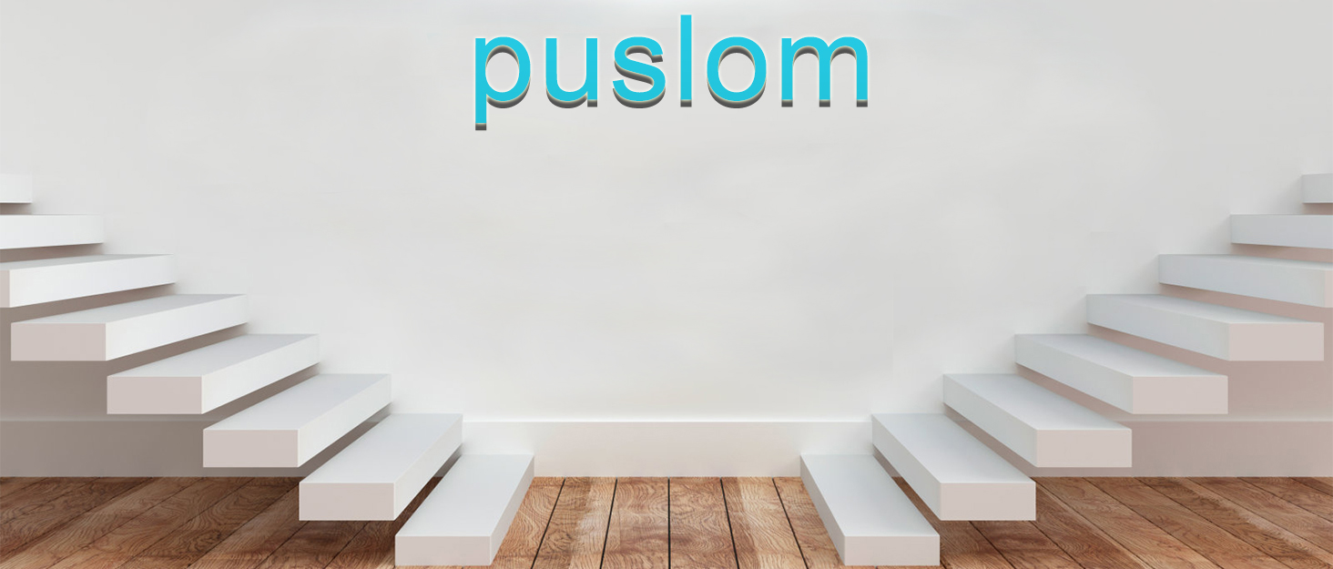 PUSLOM backpack