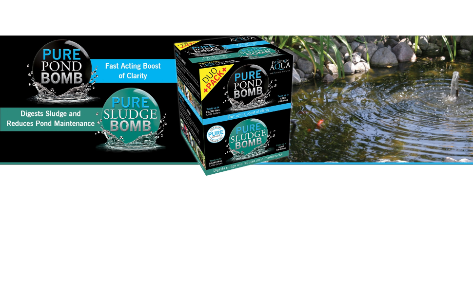 Pond Water Treatment