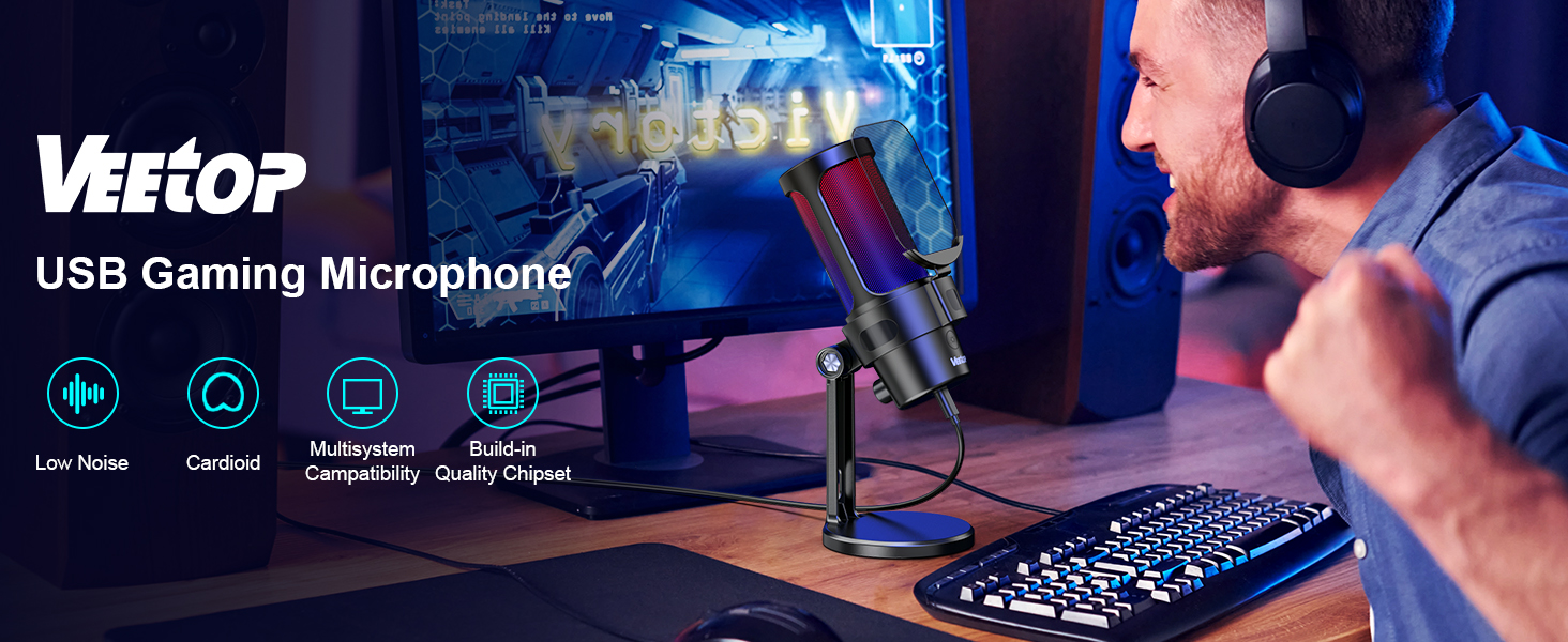 microphone