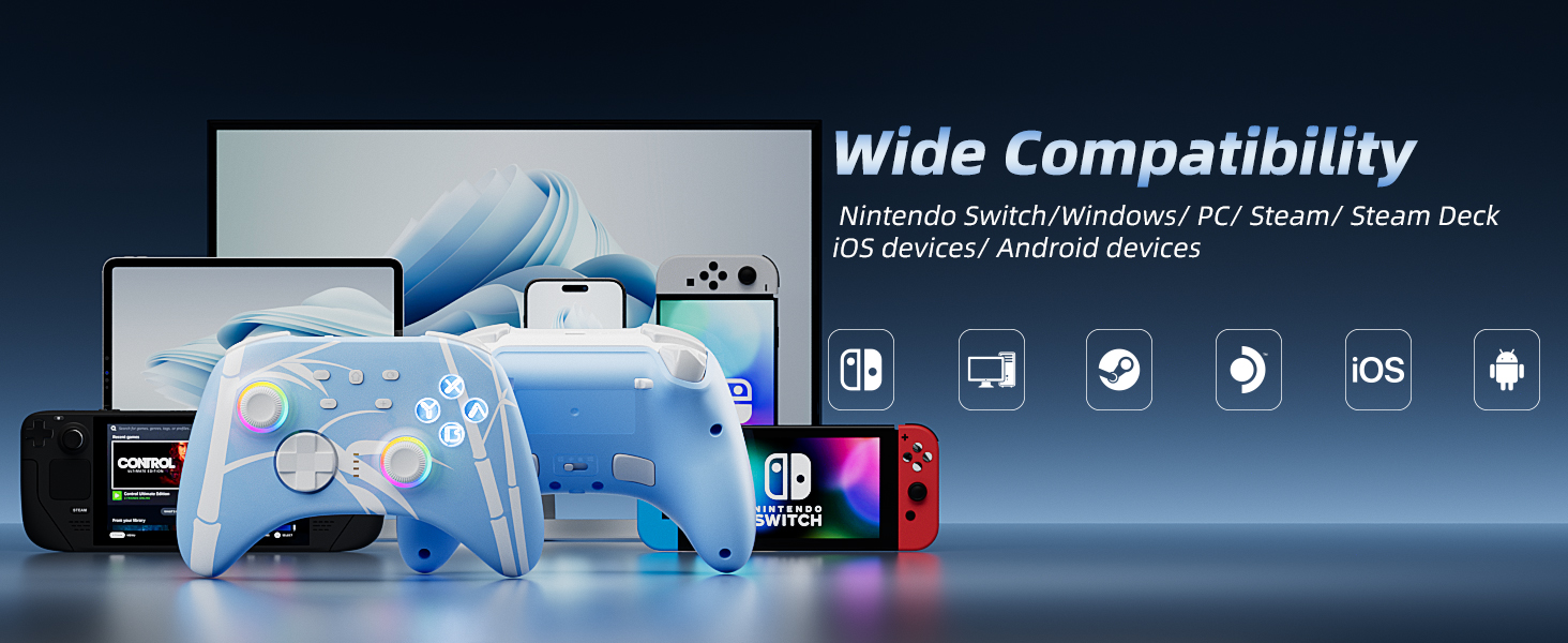 switch controller nintendo