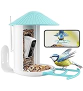 birdfy bird feeders