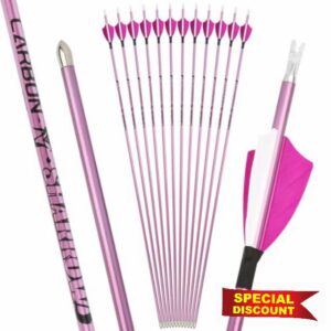 6/12Pcs Archery Hunting Arrow 2 Inch Turkey Feather Pure Carbon Arrows Spine 400-1000 Shield Shooting Carbon Arrows